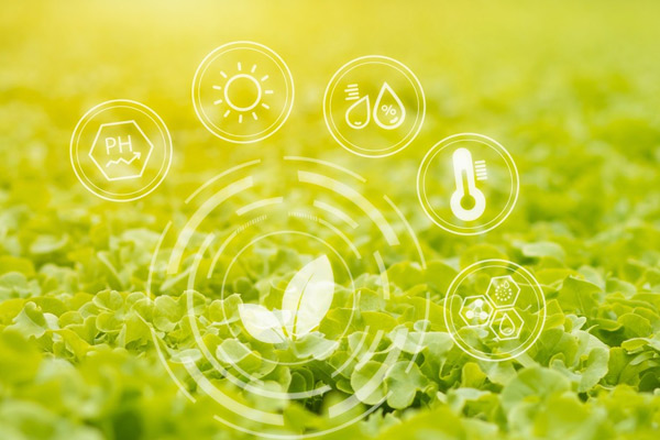 1685330794261806.jpg 6.jpg